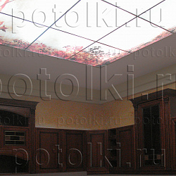  Php_38_1