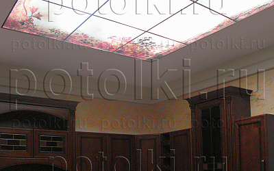 Php_38_1