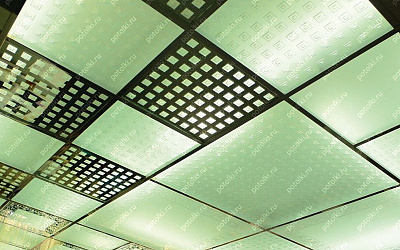Pp_101_1
