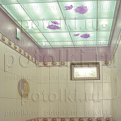  Pp_40_1