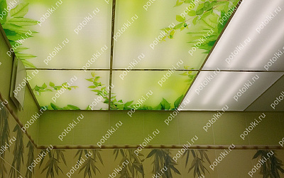 Php_132_1