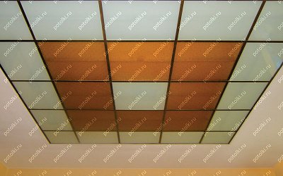 Sp_16_1
