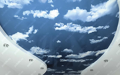 Np_88_1