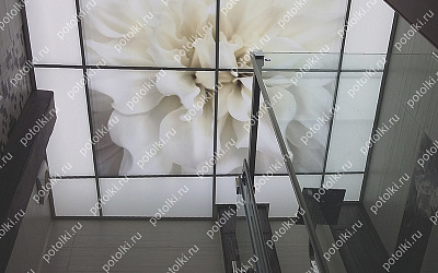Php_133_1