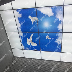  Php_149_1