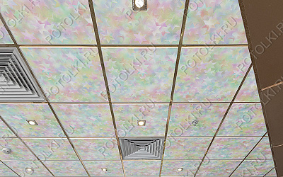 Pmz_4_1