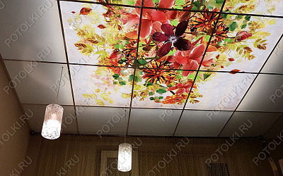 Php_169_1