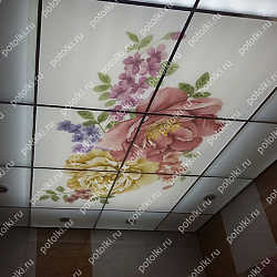  Php_146_1