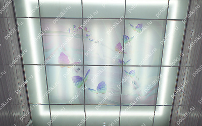 Php_123_1